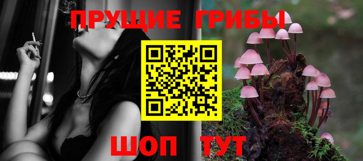 Псилоцибиновые грибы MAGIC MUSHROOMS Коломна