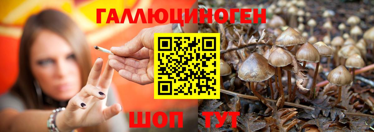 Псилоцибиновые грибы мухоморы  Вход с VPN  Коломна 